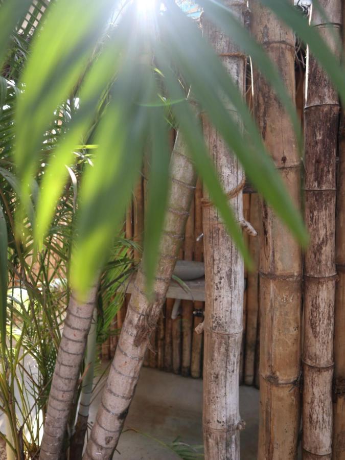 Steffi'S Mandala Hikkaduwa Exterior photo